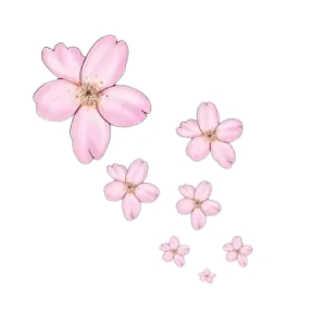 fleur